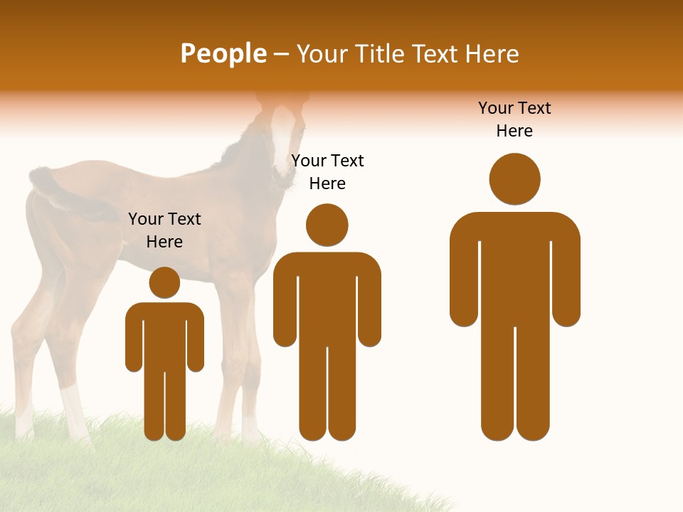 Geographical Globe High PowerPoint Template