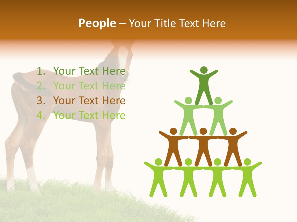 Geographical Globe High PowerPoint Template