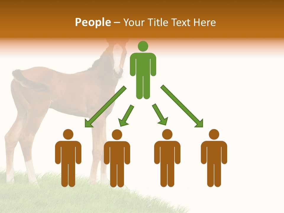 Geographical Globe High PowerPoint Template