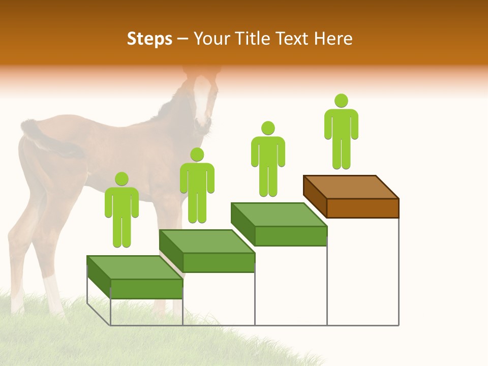 Geographical Globe High PowerPoint Template