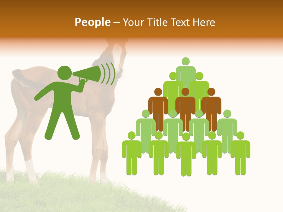 Geographical Globe High PowerPoint Template