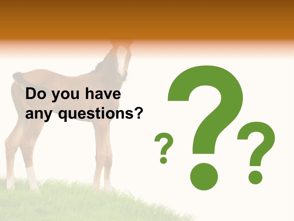 Geographical Globe High PowerPoint Template