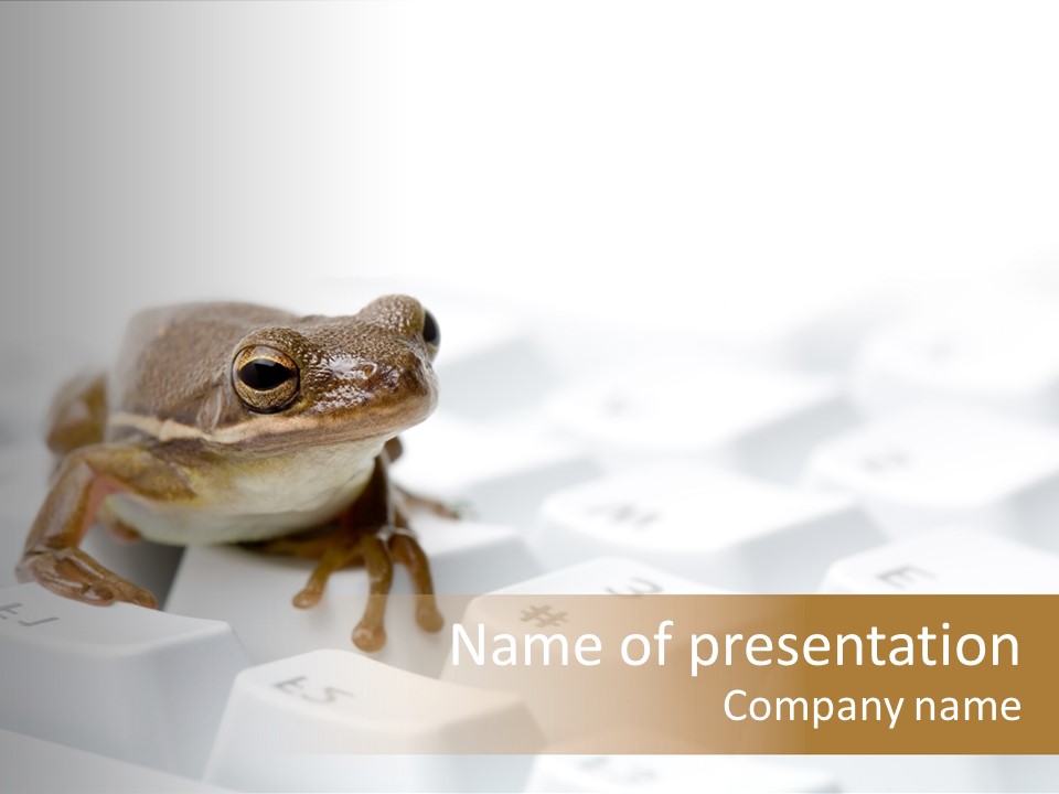 Computer Amphibian White PowerPoint Template