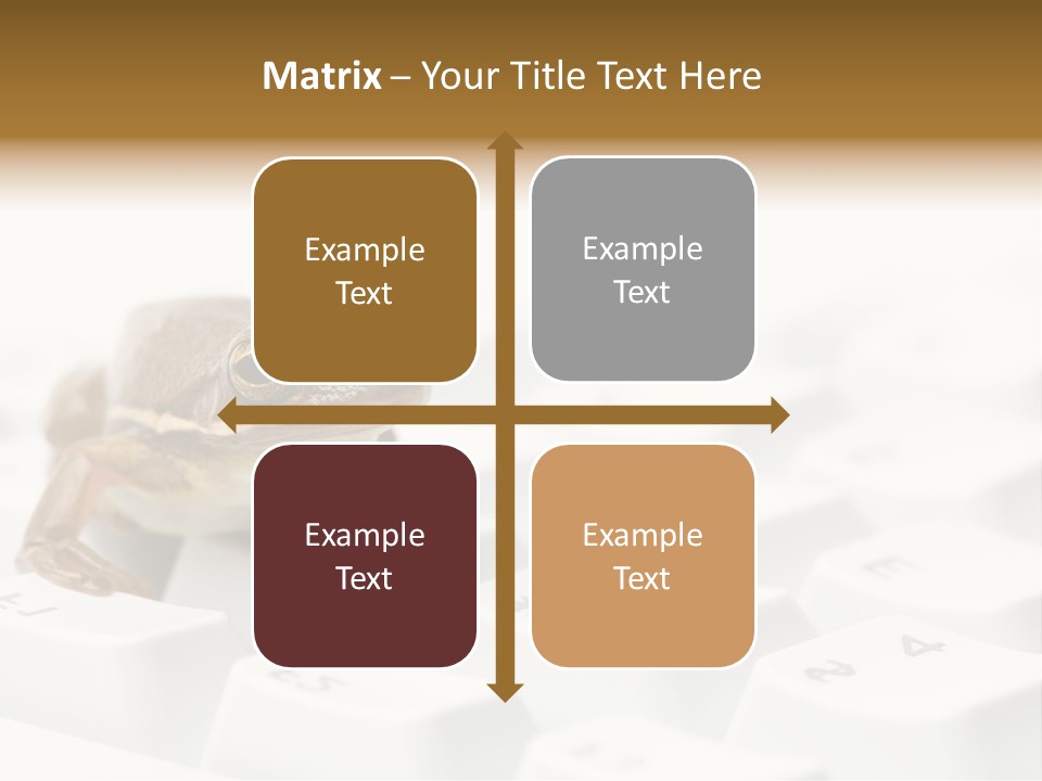 Computer Amphibian White PowerPoint Template