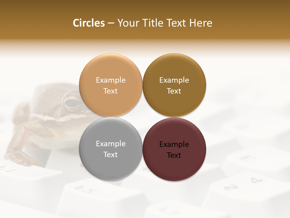 Computer Amphibian White PowerPoint Template