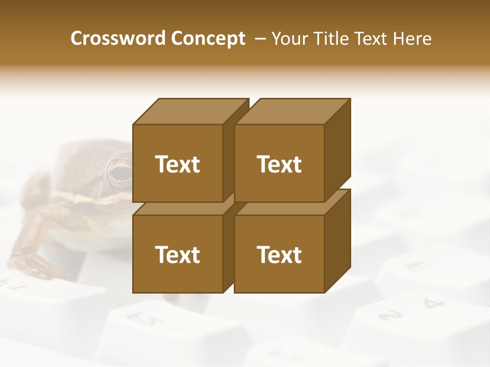 Computer Amphibian White PowerPoint Template