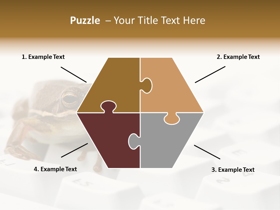 Computer Amphibian White PowerPoint Template