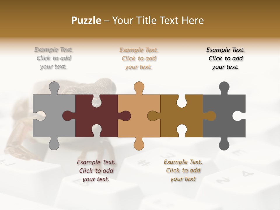 Computer Amphibian White PowerPoint Template