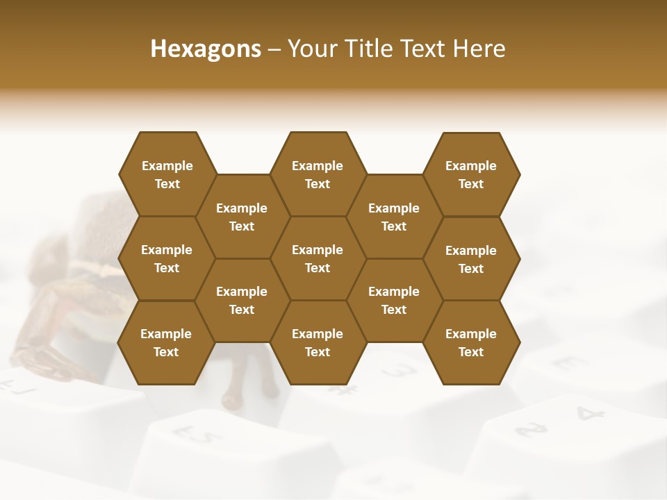 Computer Amphibian White PowerPoint Template