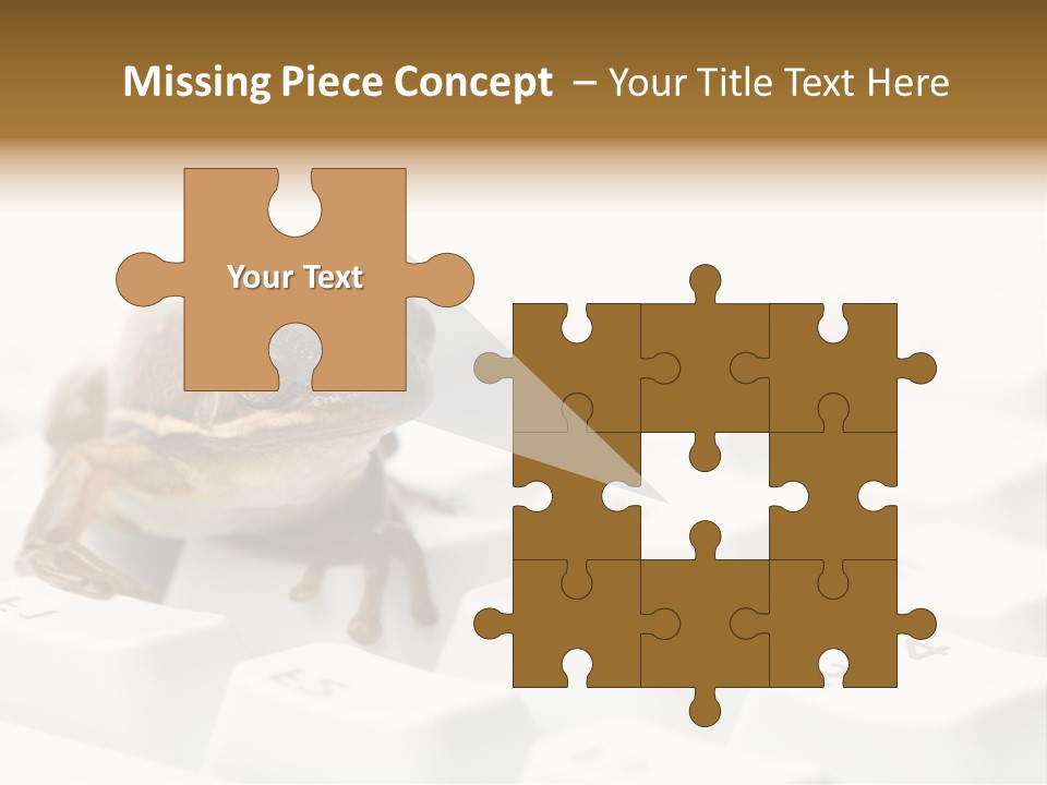 Computer Amphibian White PowerPoint Template