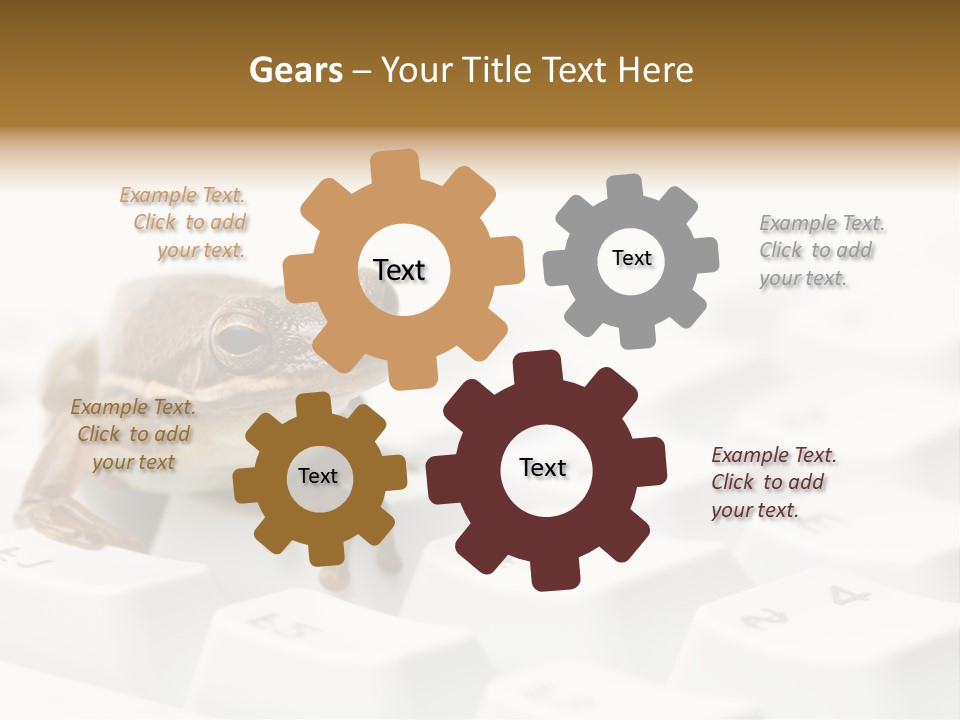 Computer Amphibian White PowerPoint Template