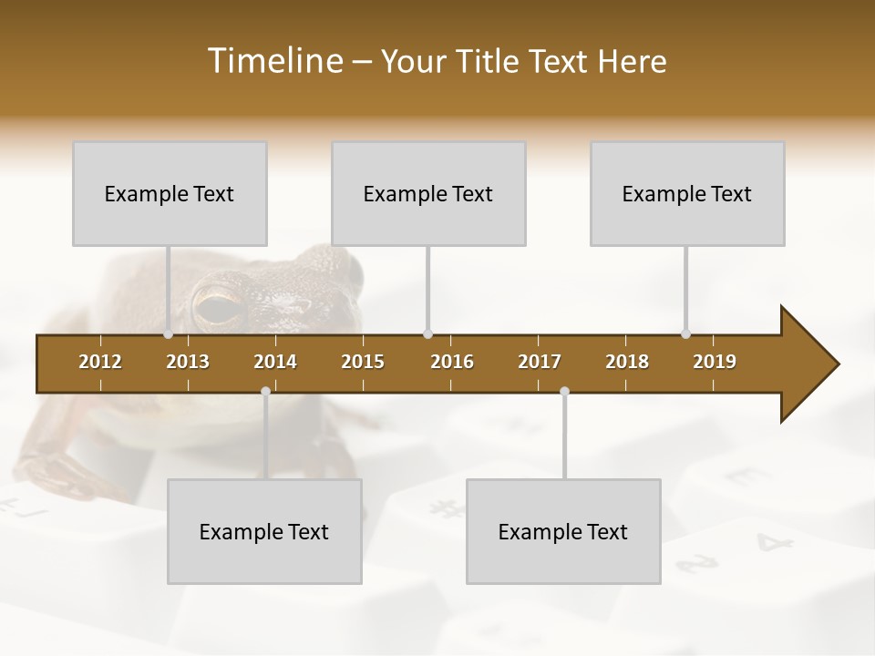 Computer Amphibian White PowerPoint Template