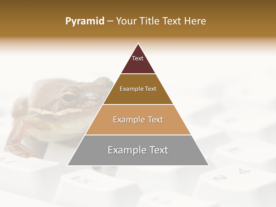 Computer Amphibian White PowerPoint Template