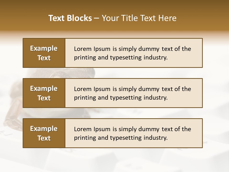 Computer Amphibian White PowerPoint Template