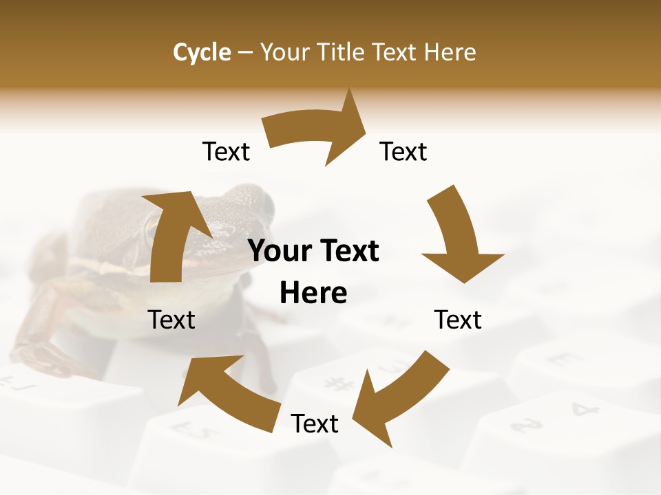 Computer Amphibian White PowerPoint Template