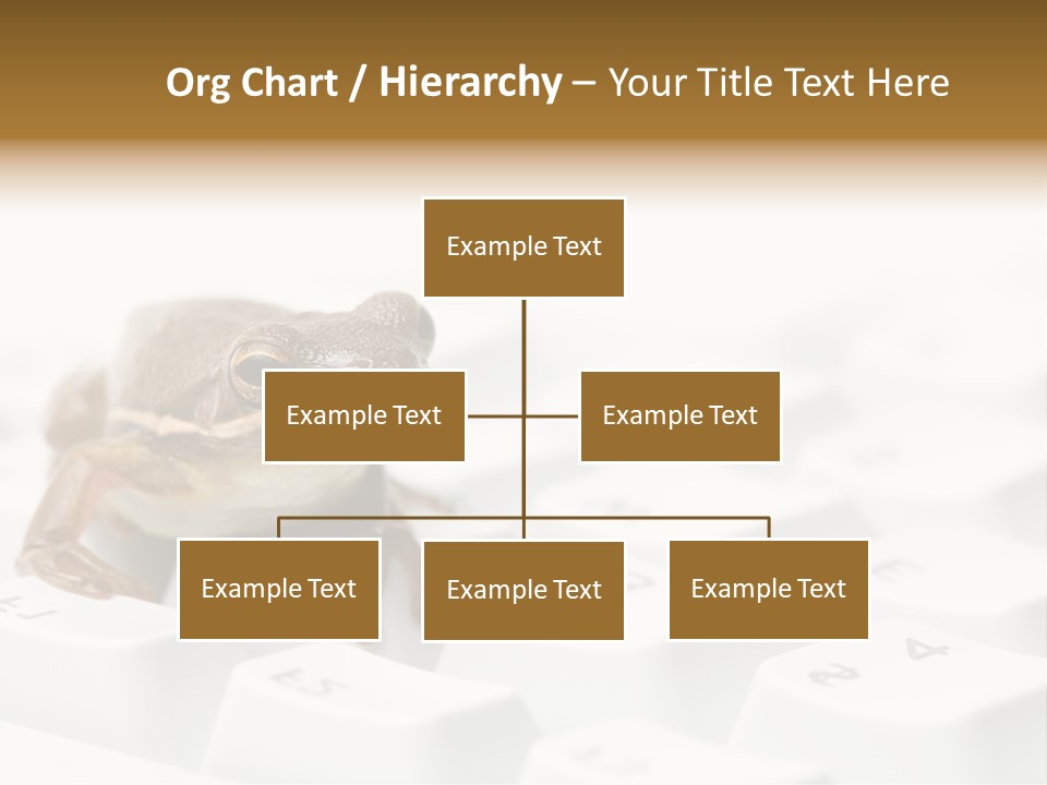 Computer Amphibian White PowerPoint Template
