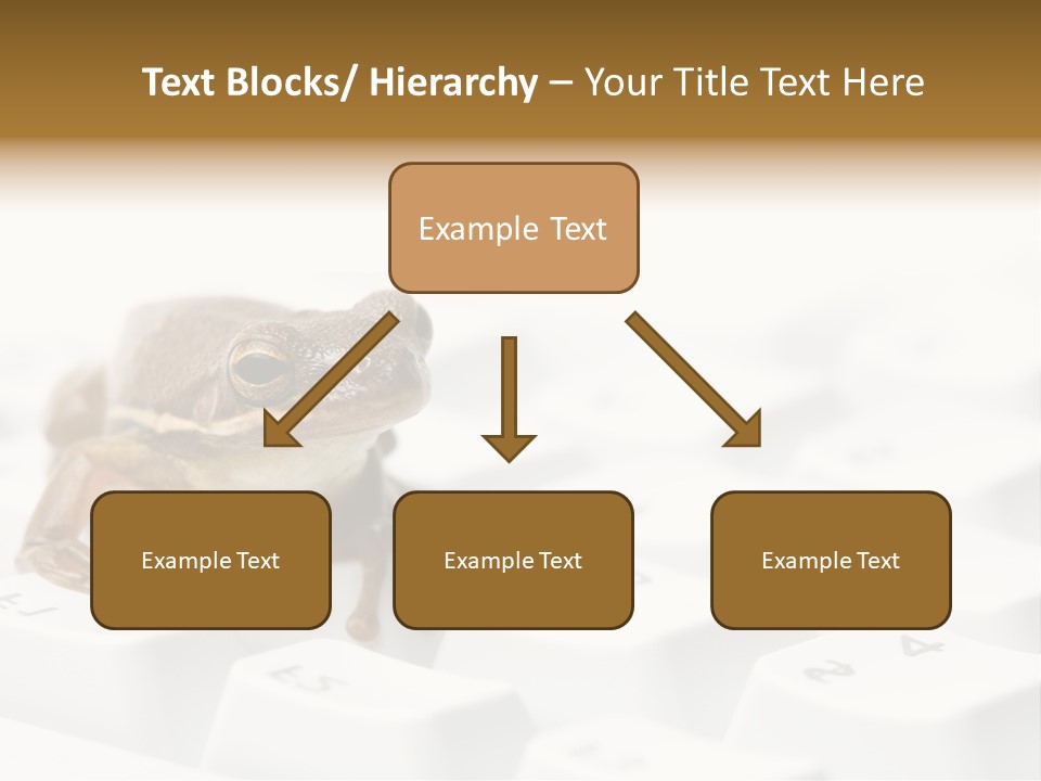 Computer Amphibian White PowerPoint Template