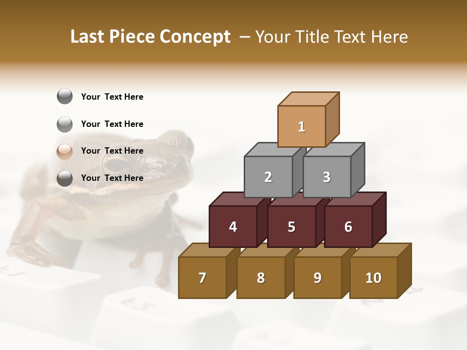 Computer Amphibian White PowerPoint Template