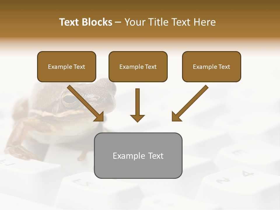 Computer Amphibian White PowerPoint Template