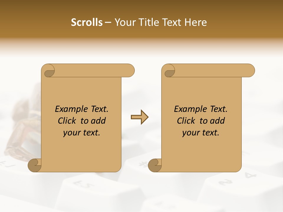 Computer Amphibian White PowerPoint Template