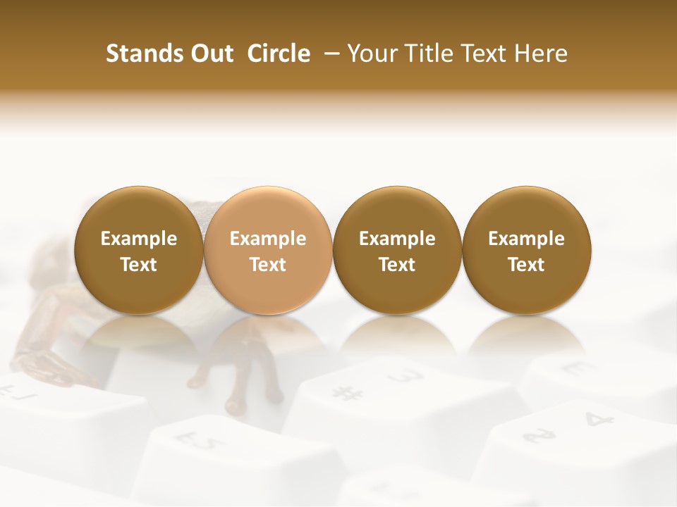 Computer Amphibian White PowerPoint Template