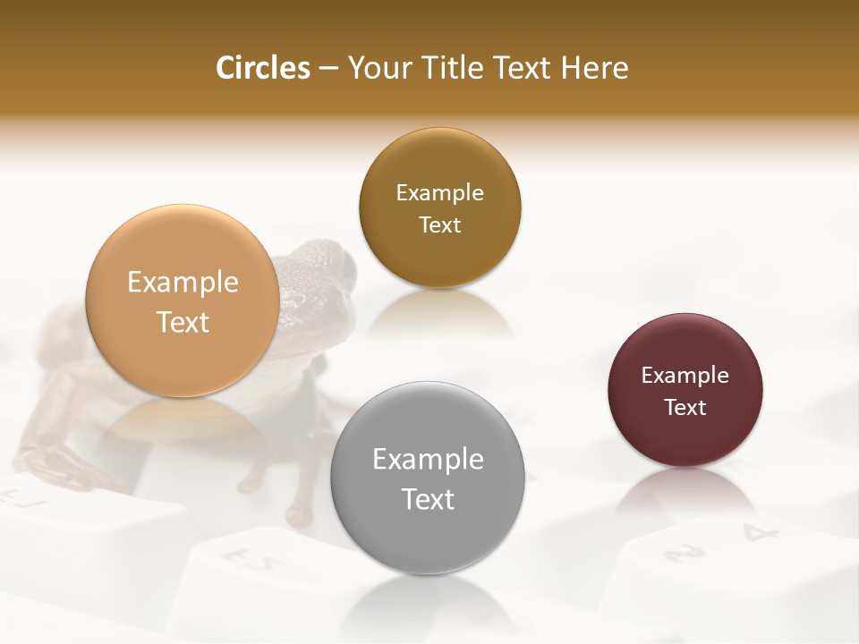 Computer Amphibian White PowerPoint Template