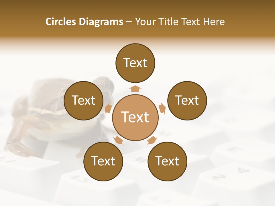 Computer Amphibian White PowerPoint Template