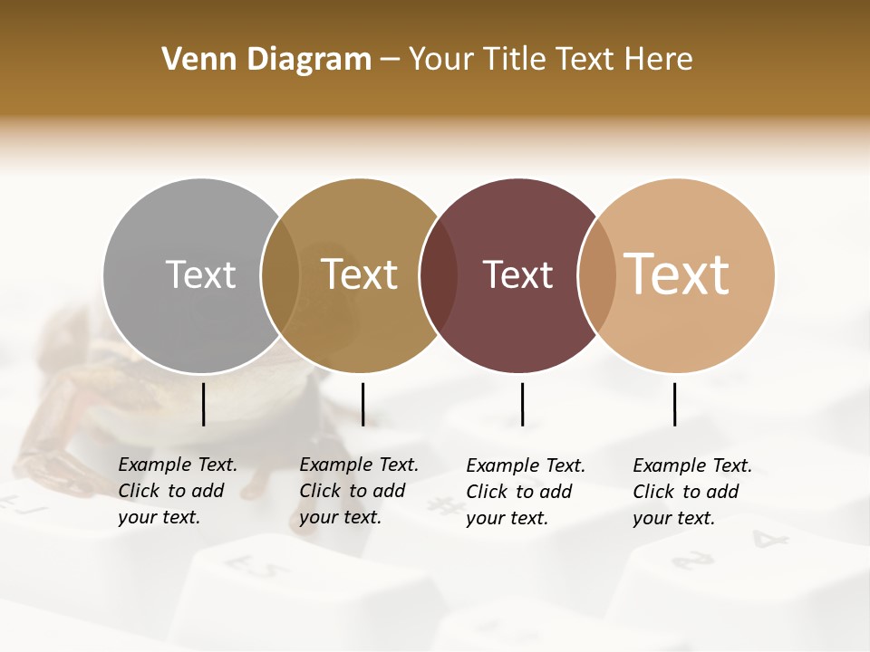 Computer Amphibian White PowerPoint Template