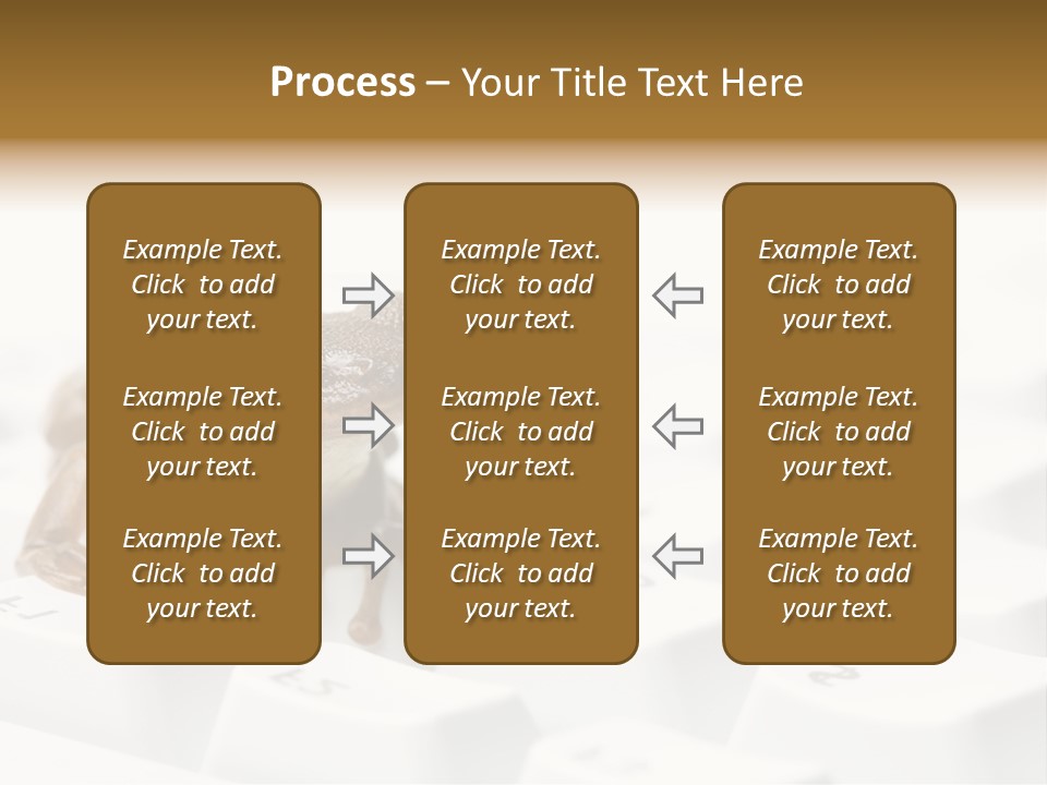 Computer Amphibian White PowerPoint Template