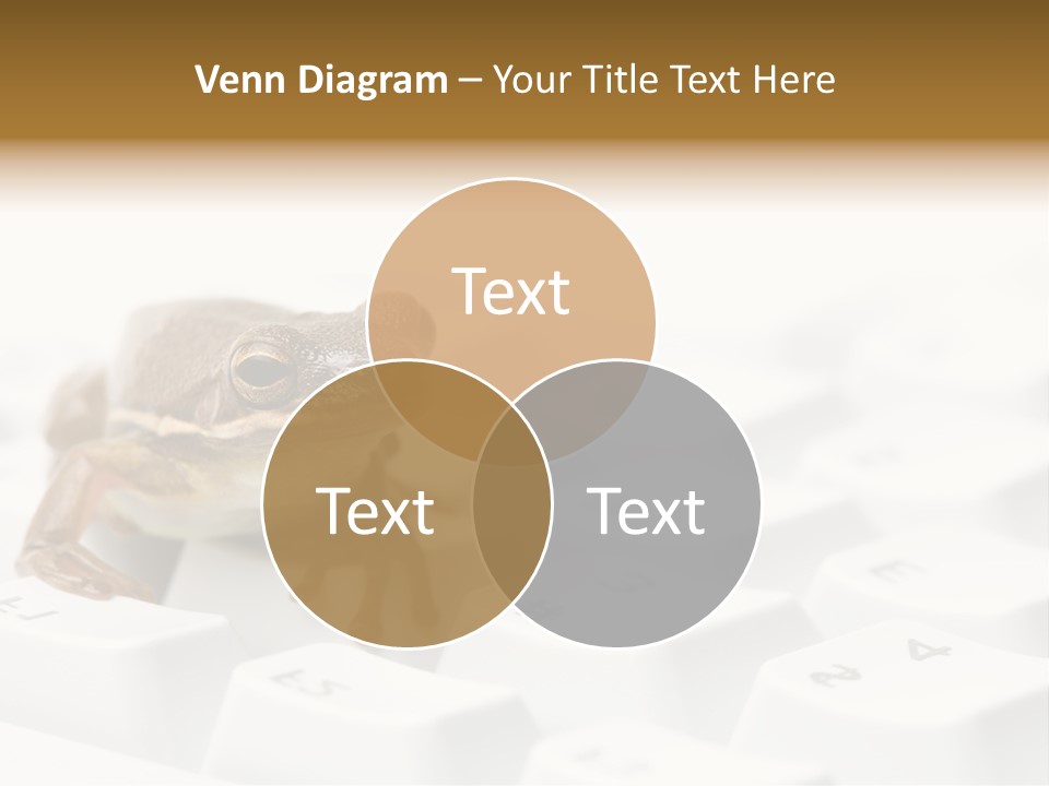 Computer Amphibian White PowerPoint Template