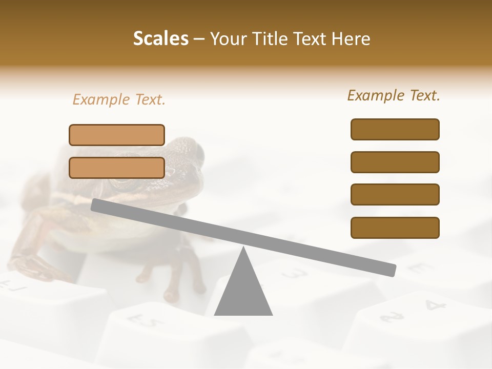 Computer Amphibian White PowerPoint Template