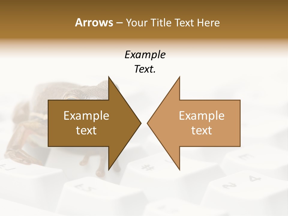 Computer Amphibian White PowerPoint Template