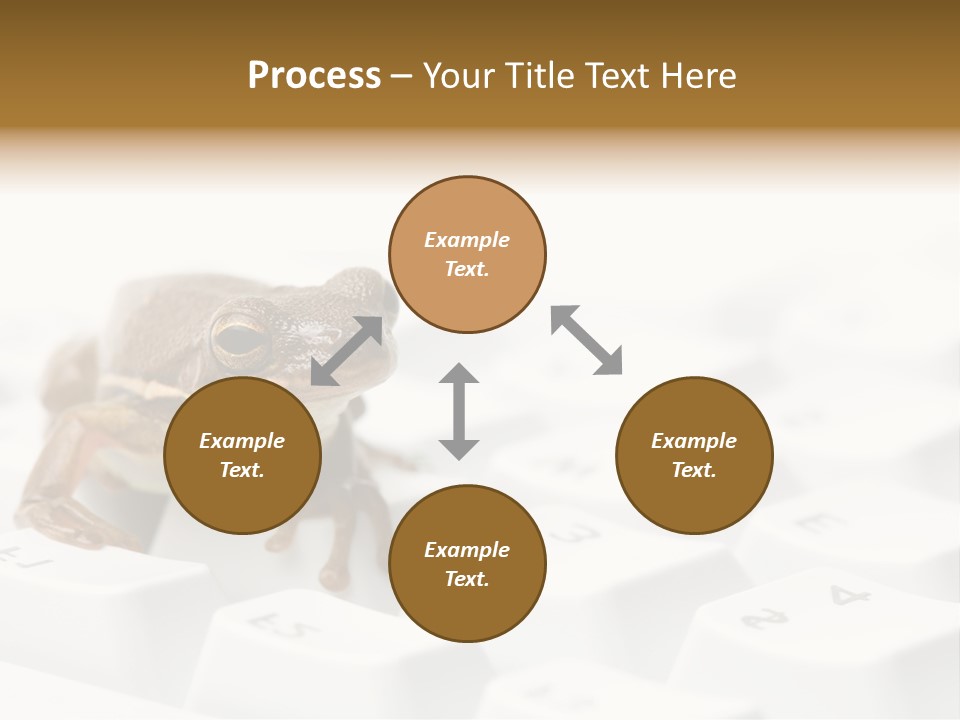 Computer Amphibian White PowerPoint Template