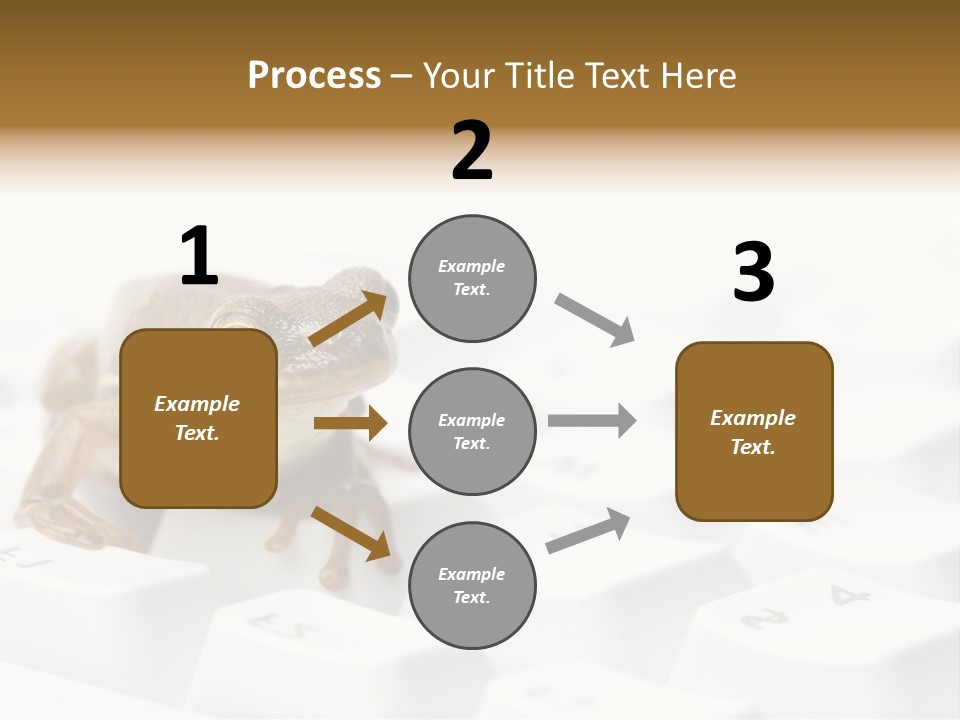 Computer Amphibian White PowerPoint Template