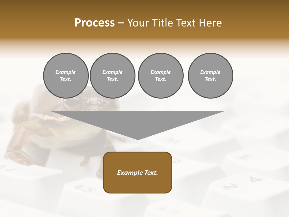 Computer Amphibian White PowerPoint Template