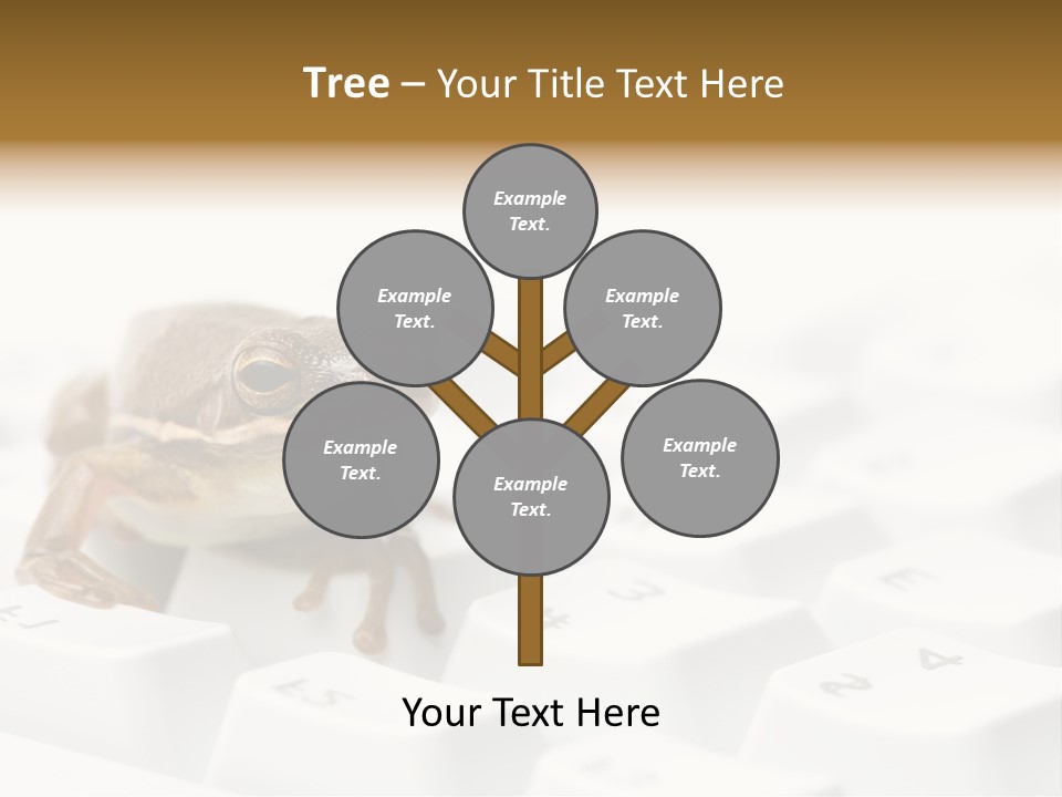 Computer Amphibian White PowerPoint Template