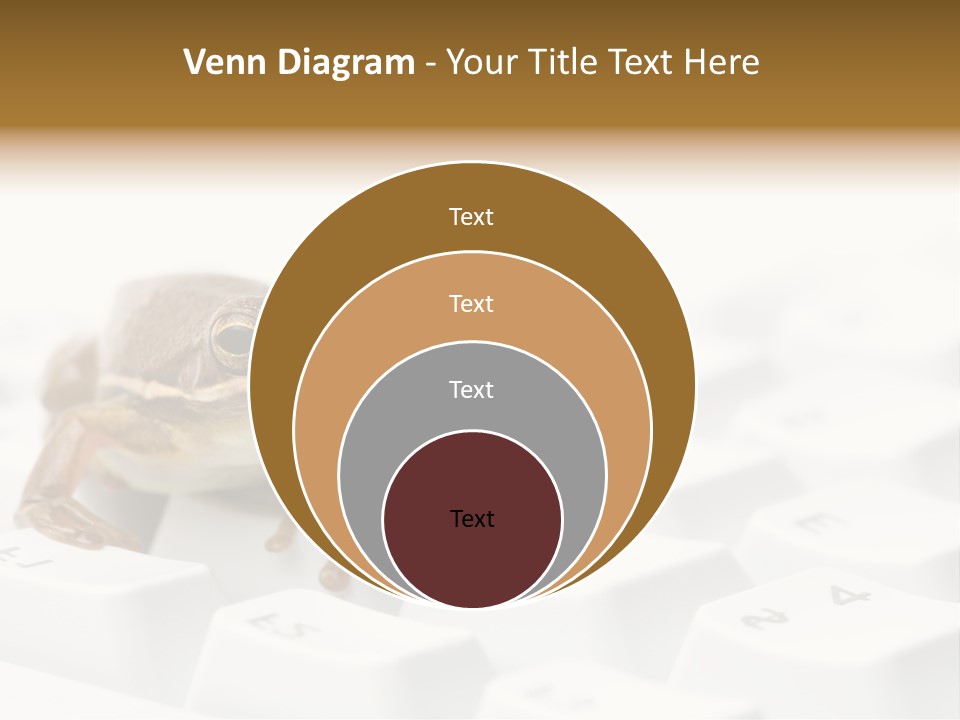 Computer Amphibian White PowerPoint Template