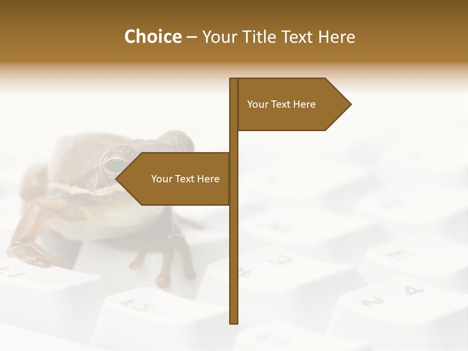 Computer Amphibian White PowerPoint Template