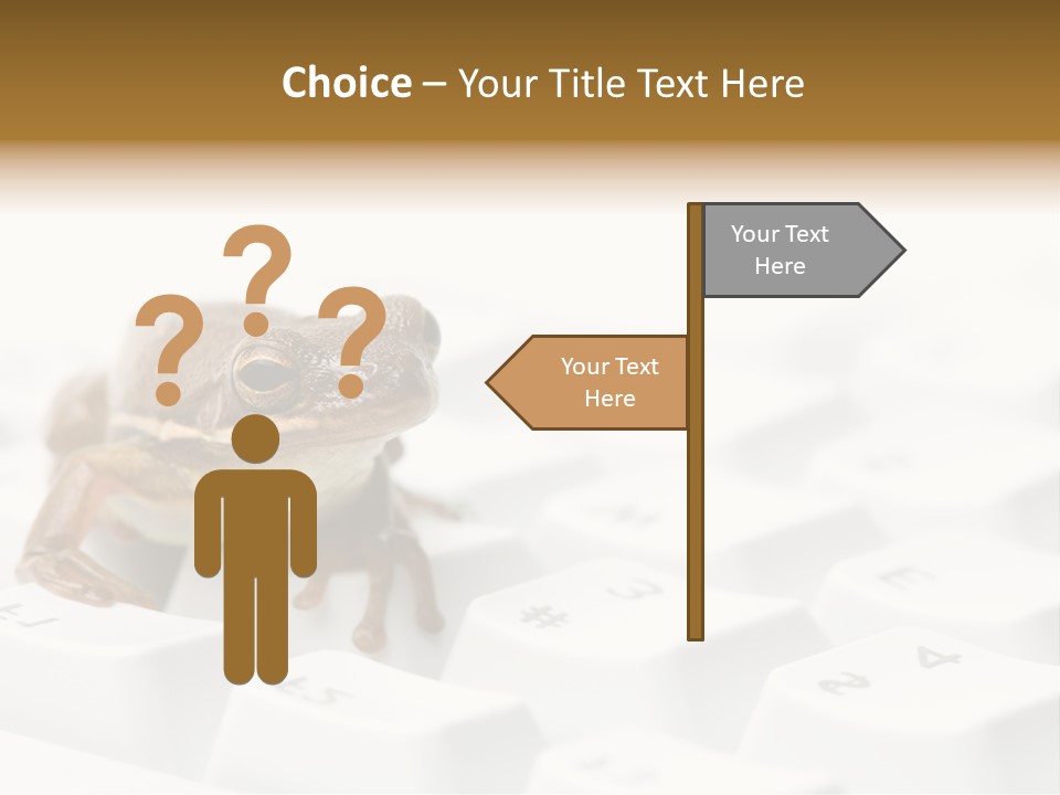 Computer Amphibian White PowerPoint Template