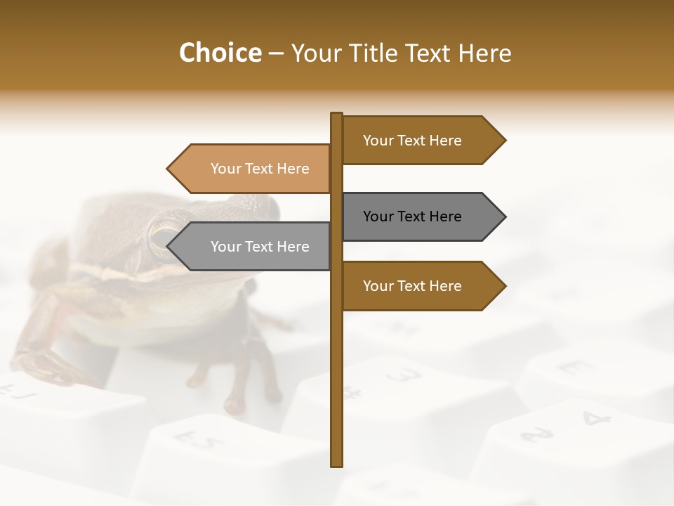 Computer Amphibian White PowerPoint Template