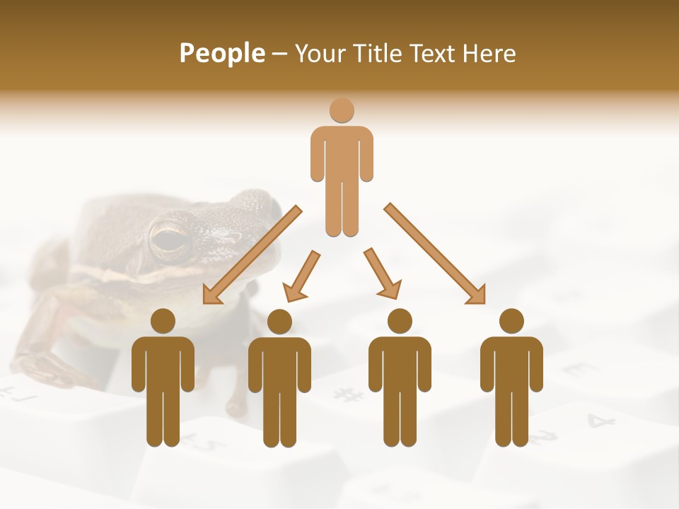 Computer Amphibian White PowerPoint Template