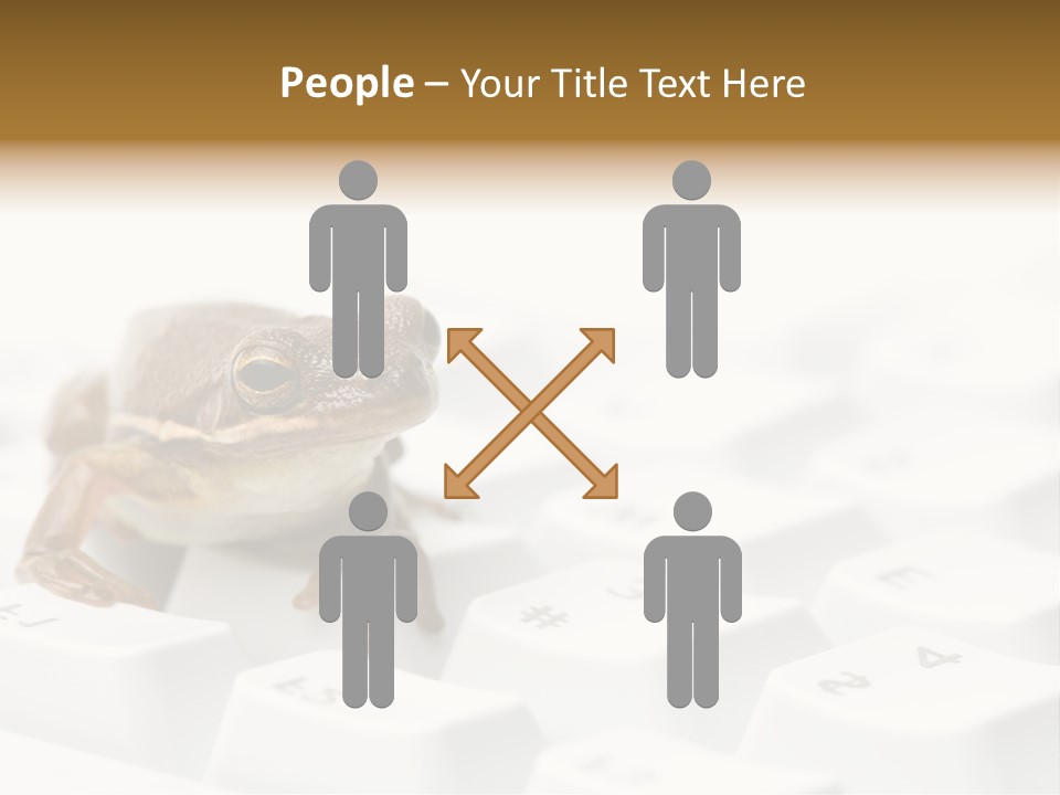 Computer Amphibian White PowerPoint Template