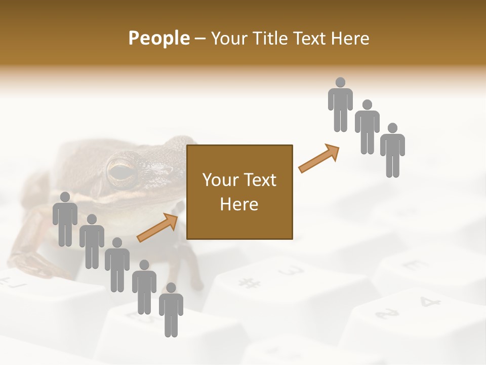 Computer Amphibian White PowerPoint Template