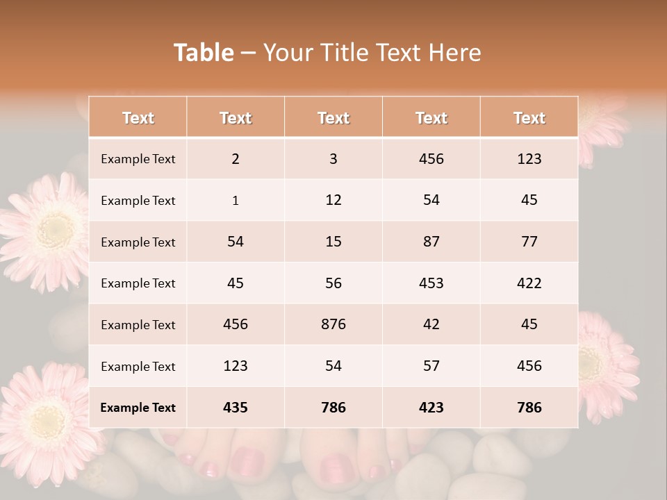 A Woman's Feet In A Bowl Of Rocks With Pink Flowers PowerPoint Template