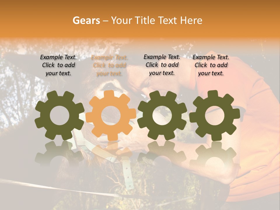 Nature Ass Still PowerPoint Template