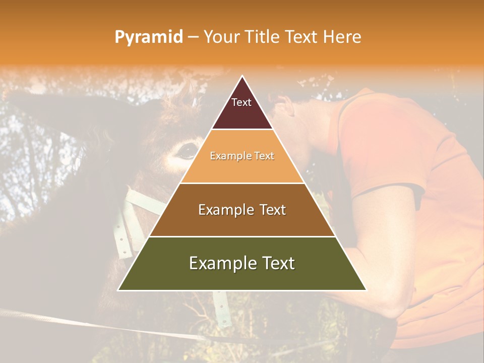 Nature Ass Still PowerPoint Template