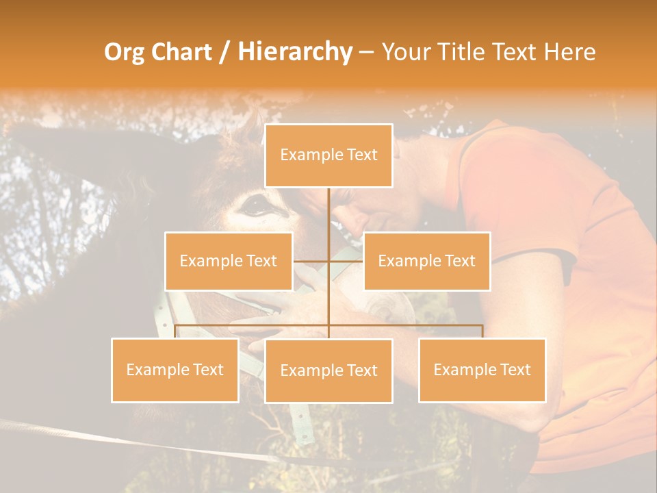 Nature Ass Still PowerPoint Template