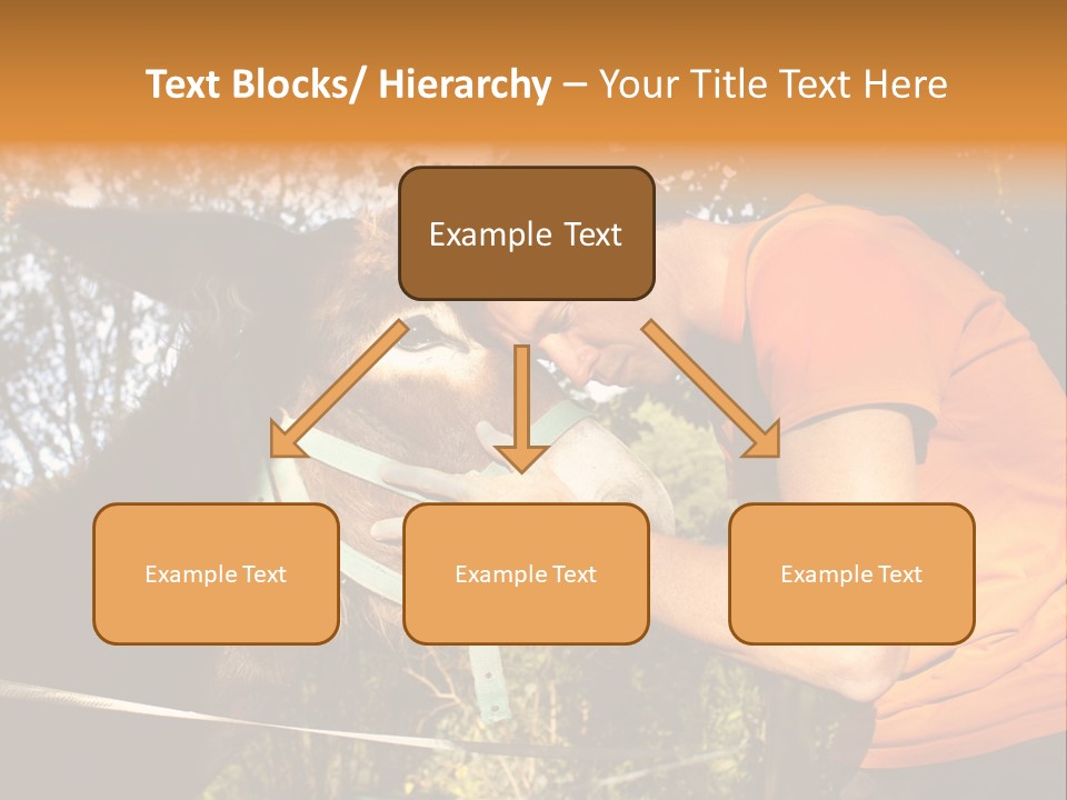 Nature Ass Still PowerPoint Template