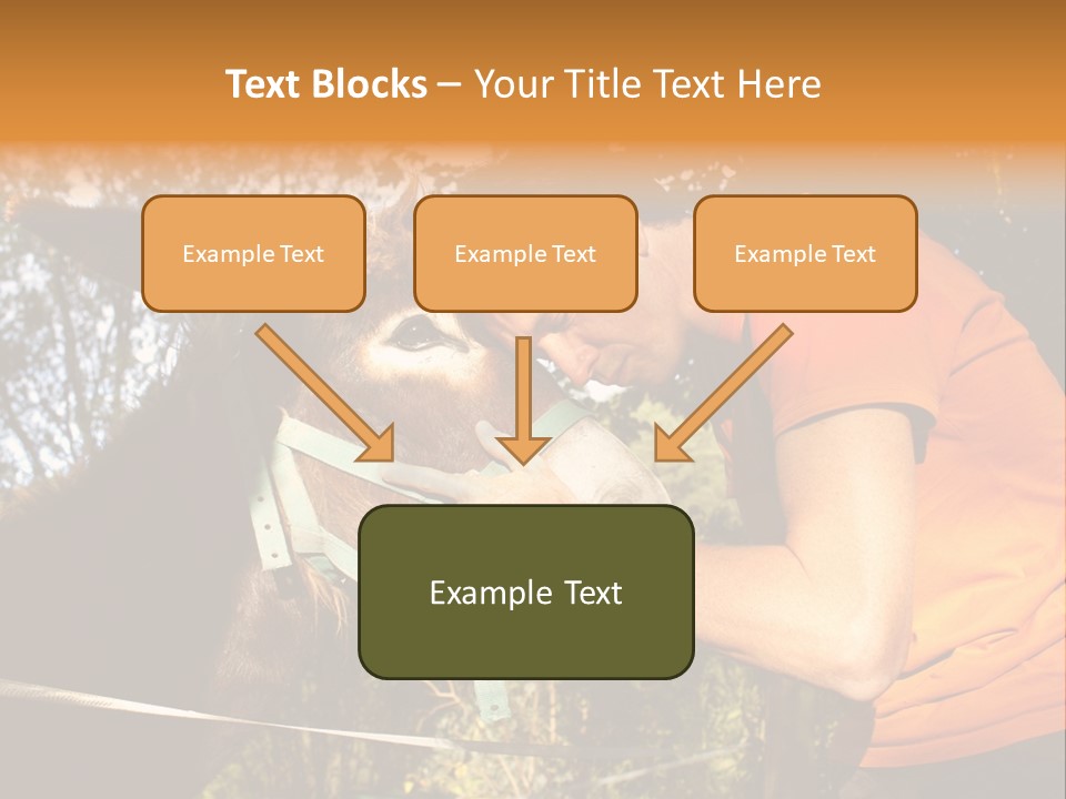 Nature Ass Still PowerPoint Template