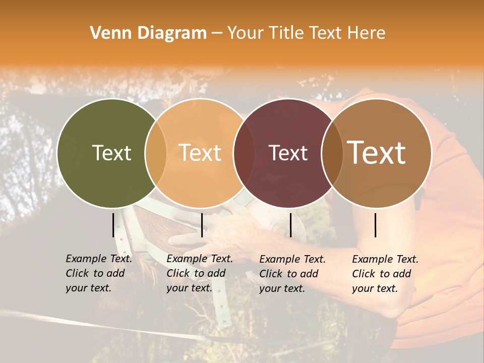 Nature Ass Still PowerPoint Template